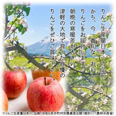 【26年10月下旬～発送】りんご シナノゴールド【贈答用】約5kg|24_bts-030501bc
