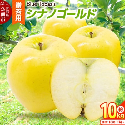 【26年10月下旬～発送】りんご シナノゴールド【贈答用】約10kg|24_bts-031001bc