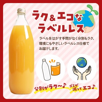 《定期便全3回 隔月お届け》ストレートりんごジュース 1L×6本|24_tsz-130603