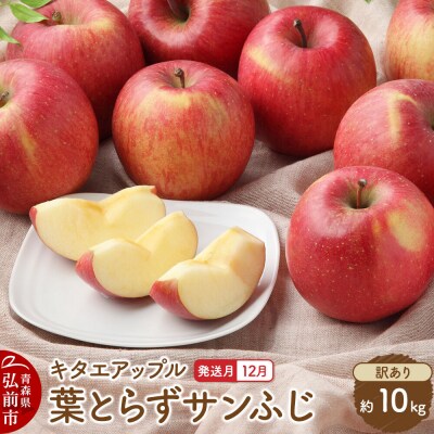 【26年12月発送】りんご 葉取らず サンふじ【訳あり】約10kg|24_kta-031001j