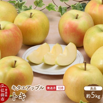 【26年10月発送】りんご トキ【良品】約5kg|24_kta-120501h