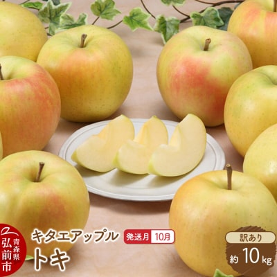 【26年10月発送】りんご トキ【訳あり】約10kg|24_kta-131001h