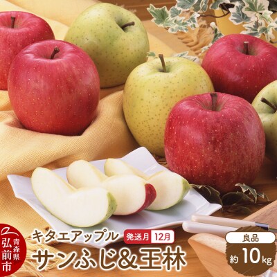 【26年12月発送】りんご サンふじ・王林【良品】約10kg|24_kta-041001j