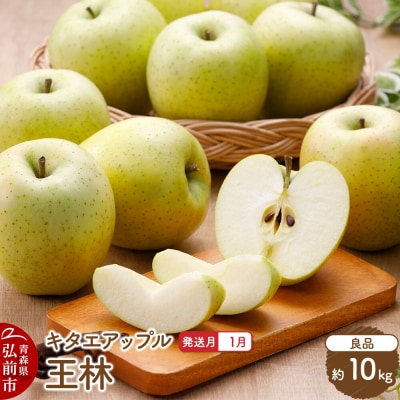 【27年1月発送】りんご 王林【良品】約10kg|24_kta-101001a