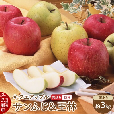 【26年12月発送】りんご サンふじ・王林【訳あり】約3kg|24_kta-050301j