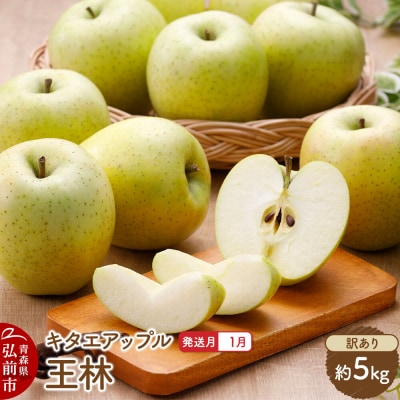 【27年1月発送】りんご 王林【訳あり】約5kg|24_kta-110501a