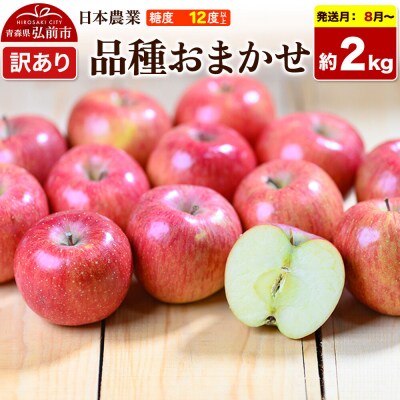 りんご 品種おまかせ【訳あり】約2kg 先行受付|24_nng-990201ax