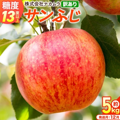 りんご サンふじ【訳あり】約5kg(14～23玉程度)先行受付|24_nmk-010501ae