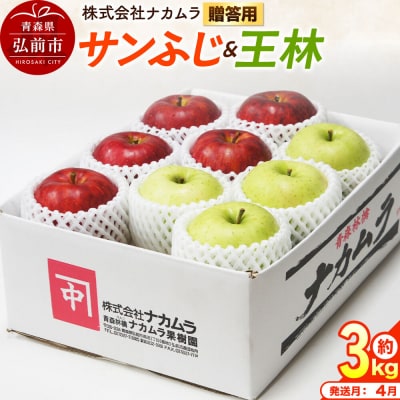 りんご サンふじ・王林【贈答用】約3kg【CA貯蔵】先行受付|24_nmk-020301bi
