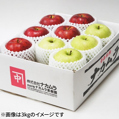 りんご サンふじ・王林【贈答用】約3kg【CA貯蔵】先行受付|24_nmk-020301bi