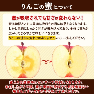 りんご サンふじ【家庭用】約2kg(8個)蜜入り 先行受付|24_yuk-130201a