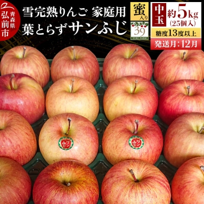 りんご サンふじ【家庭用】約5kg(25個)中玉 蜜入り 先行受付|24_yuk-240501a