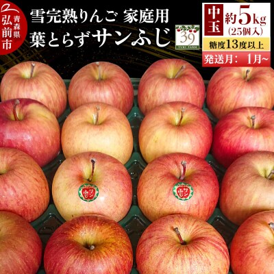 りんご サンふじ【家庭用】約5kg(25個)中玉 先行受付|24_yuk-240501b