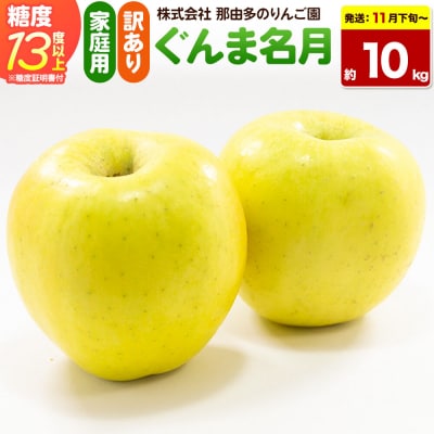 りんご ぐんま名月【訳あり】約10kg 先行受付|24_ntr-011001