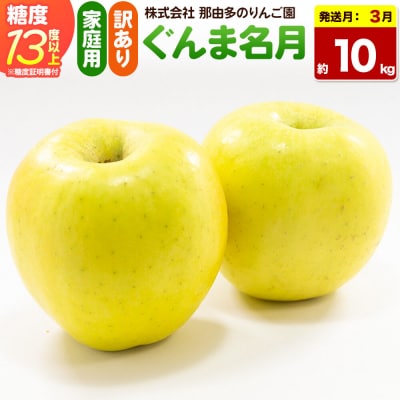 りんご ぐんま名月【訳あり】約10kg 先行受付|24_ntr-011001a
