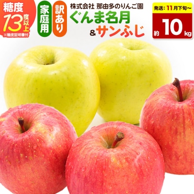 りんご ぐんま名月&サンふじ【訳あり】約10kg 先行受付|24_ntr-031001