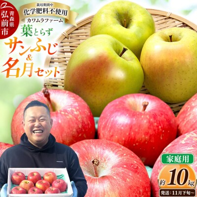 りんご 葉とらず サンふじ&名月 セット【家庭用】約10kg 先行受付|24_kmf-071001