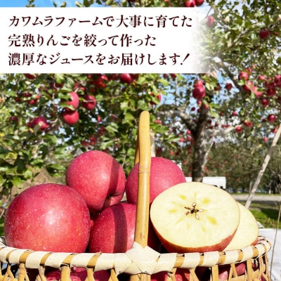 りんごジュース 無添加 葉とらずふじ 1L×6本 カワムラファーム|24_kmf-170601