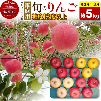 りんご 旬のリンゴ詰め合わせ【家庭用】約5kg【先行受付】|24_rfk-010501a