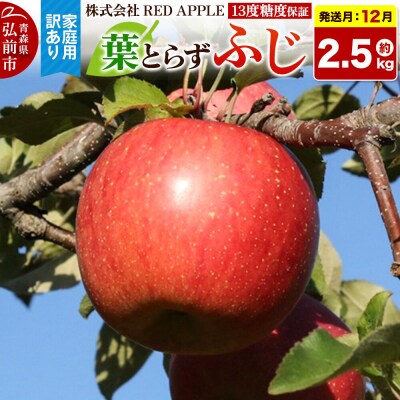 【26年12月発送】りんご 葉とらずふじ【訳あり】家庭用 約2.5kg|24_rap-020201j