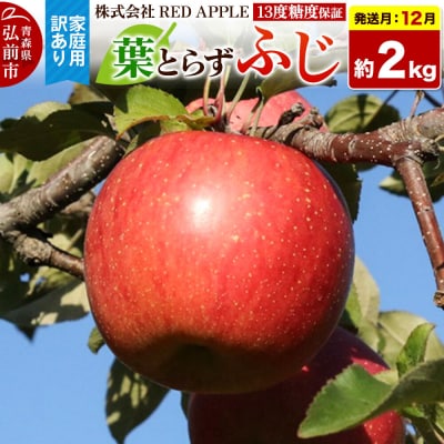【26年12月発送】りんご 葉とらずふじ【訳あり】家庭用 約2kg|24_rap-020201zj
