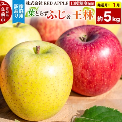 [27年1月発送]りんご[訳あり]家庭用 葉とらずふじ&王林 約5kg|24_rap-060501n