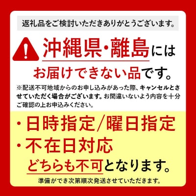 【27年1月発送】りんご 王林【訳あり】家庭用 約2.5kg|24_rap-040201a