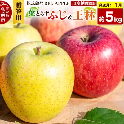 [27年1月発送]りんご[贈答用]葉とらずふじ&王林 約5kg|24_rap-050501n