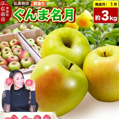 りんご 【27年1月発送】ぐんま名月【訳あり】約3kg 先行受付|24_hkb-210301d