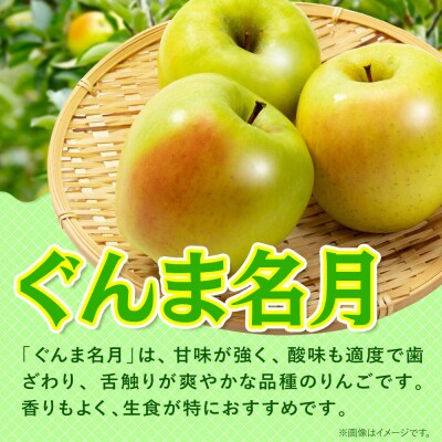 りんご 【26年11月発送】ぐんま名月【贈答用】約3kg 先行受付|24_hkb-220301b