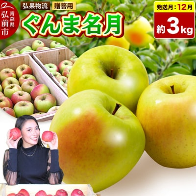 りんご 【26年12月発送】ぐんま名月【贈答用】約3kg 先行受付|24_hkb-220301c
