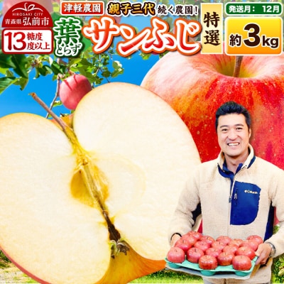 [26年12月発送]りんご 葉とらずサンふじ[特選]約3kg|24_tgn-110301