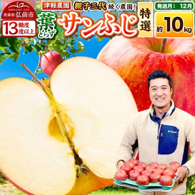 【26年12月発送】りんご 葉とらずサンふじ【特選】約10kg|24_tgn-111001