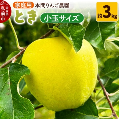 りんご【26年10月発送】とき【家庭用】約3kg 小玉 先行受付|24_hrn-010301