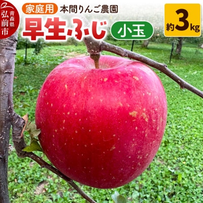 りんご 早生ふじ(ひろさきふじ)【家庭用】約3kg 小玉 先行受付|24_hrn-020301
