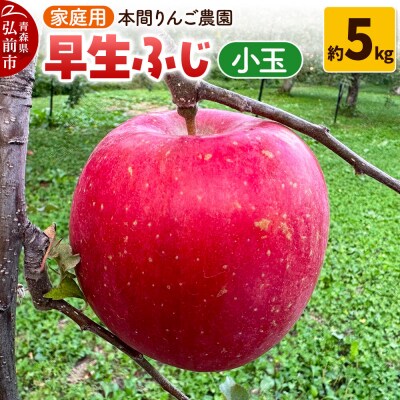 りんご 早生ふじ(ひろさきふじ)【家庭用】約5kg 小玉 先行受付|24_hrn-020501