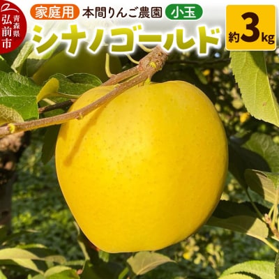 りんご シナノゴールド【家庭用】約3kg 小玉 先行受付|24_hrn-030301