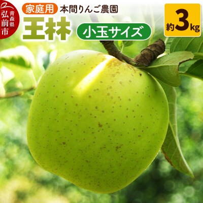 りんご【26年12月発送】王林【家庭用】約3kg 小玉 先行受付|24_hrn-040301