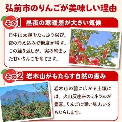 りんご【26年12月発送】王林【家庭用】約3kg 小玉 先行受付|24_hrn-040301