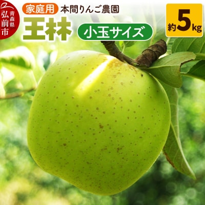 りんご【26年12月発送】王林【家庭用】約5kg 小玉 先行受付|24_hrn-040501