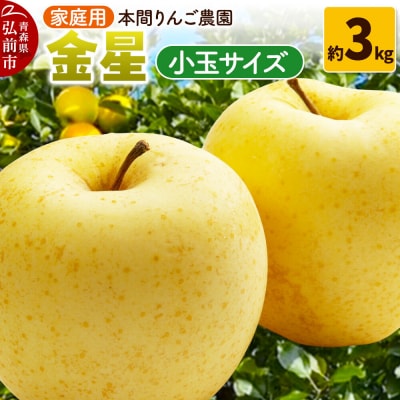 りんご【26年12月発送】金星【家庭用】約3kg 小玉 先行受付|24_hrn-050301