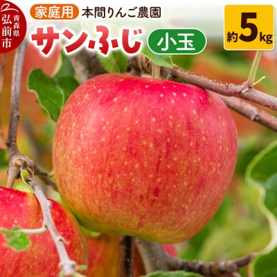 りんご【26年12月発送】サンふじ【家庭用】約5kg 小玉 先行受付|24_hrn-060501