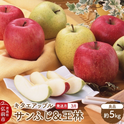 りんご【27年3月発送】サンふじ・王林【良品】約5kg 先行受付|24_kta