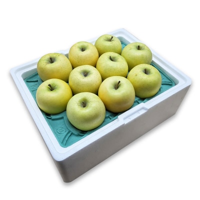 りんご【27年3月発送】シナノゴールド【良品】約5kg 先行受付|24_kta-060501c