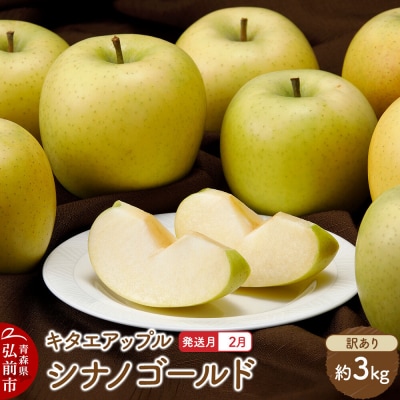 りんご[27年2月発送]シナノゴールド[訳あり]約3kg 先行受付|24_kta-070301b