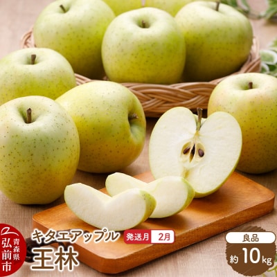 りんご[27年2月発送]王林[良品]約10kg 先行受付|24_kta-101001b