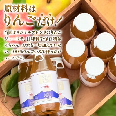 りんごジュース 180ml×10本 ストレート果汁100%|24_saf-100801