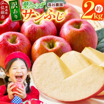 りんご 高谷農園【訳あり】葉とらずサンふじ 約2kg 先行受付|24_tyn-040201