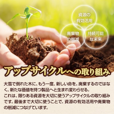 弘前公園の木で作ったボールペン・シャープペンシルセット【松】各1本|24_hsg-050101b