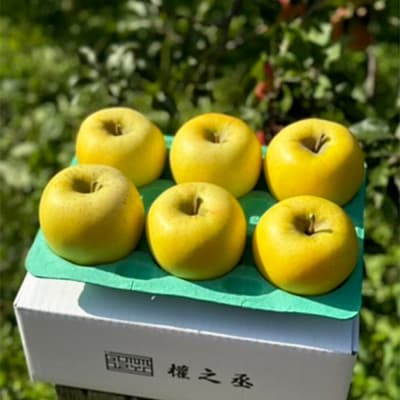 りんご シナノゴールド【家庭用】約2kg 權之丞 青森りんご|24_gnz-010201